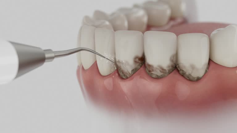 Reliable Dental contractor in White Sulphur Springs, WV by Dentist Open Now